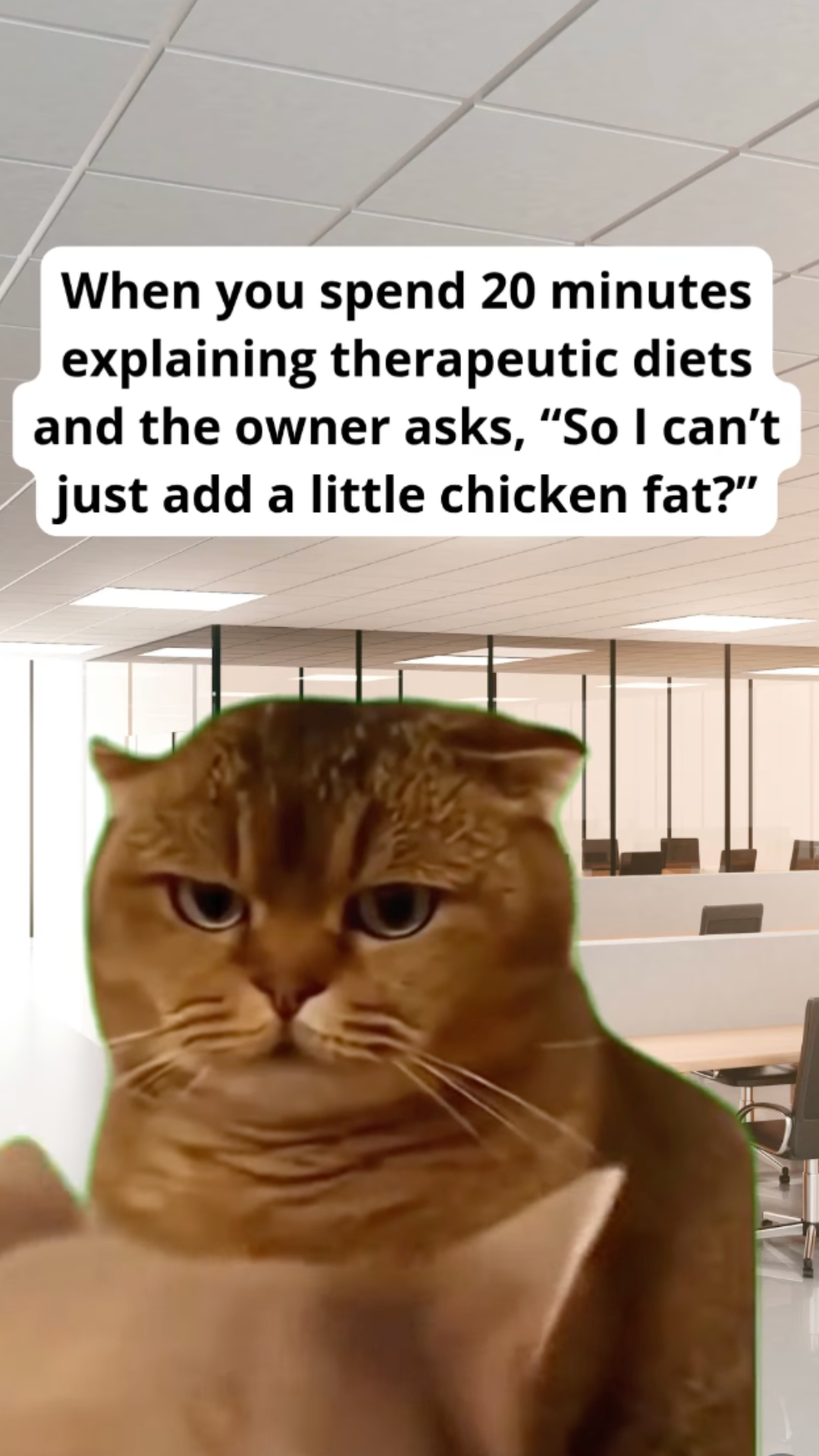 Every clinical nutrition plan meets its final boss: the "just a little" owner.